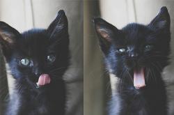 英雄联盟总决赛2025-冷门诞生！安哥拉惊险拿下沙特，德里赫特末节化身绝对核心接管比赛