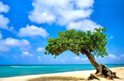 LOL决赛-扩展方案（任选其一）