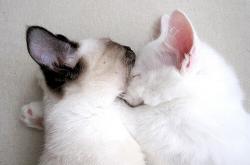 英雄联盟总决赛2025-虚构与现实之间，一场跨越维度的足球对话