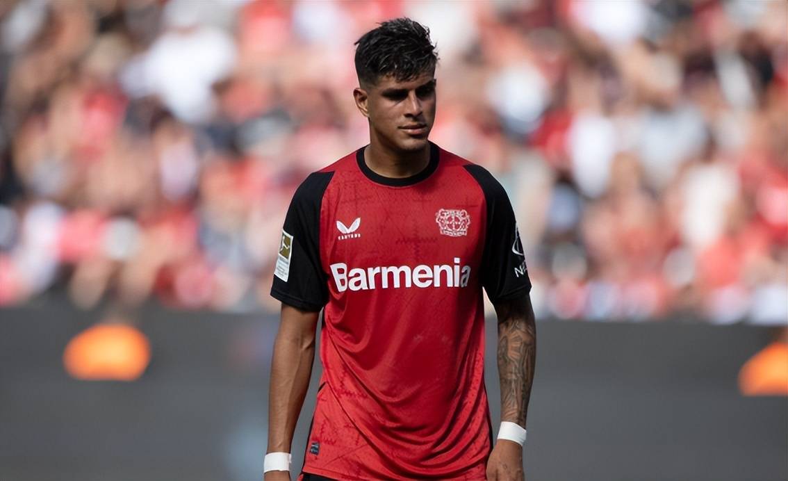 厄瓜多尔国家队战术缺陷败北的简单介绍