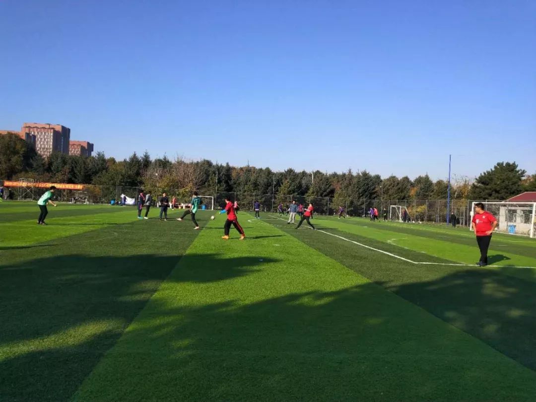 关于挪威队奋起直追,欧锦赛中壮志凌云的信息 关于挪威队奋起直追,欧锦赛中壮志凌云的信息