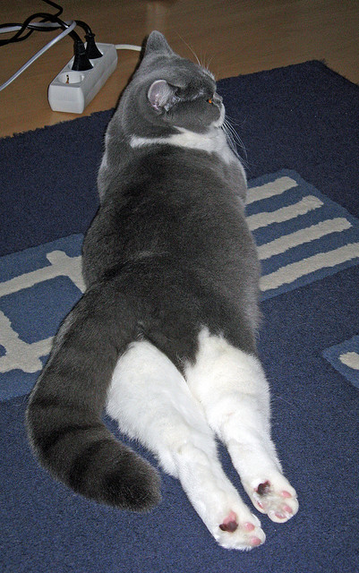 定义之夜，霍勒迪用非典型巨星的方式改写了东决剧本