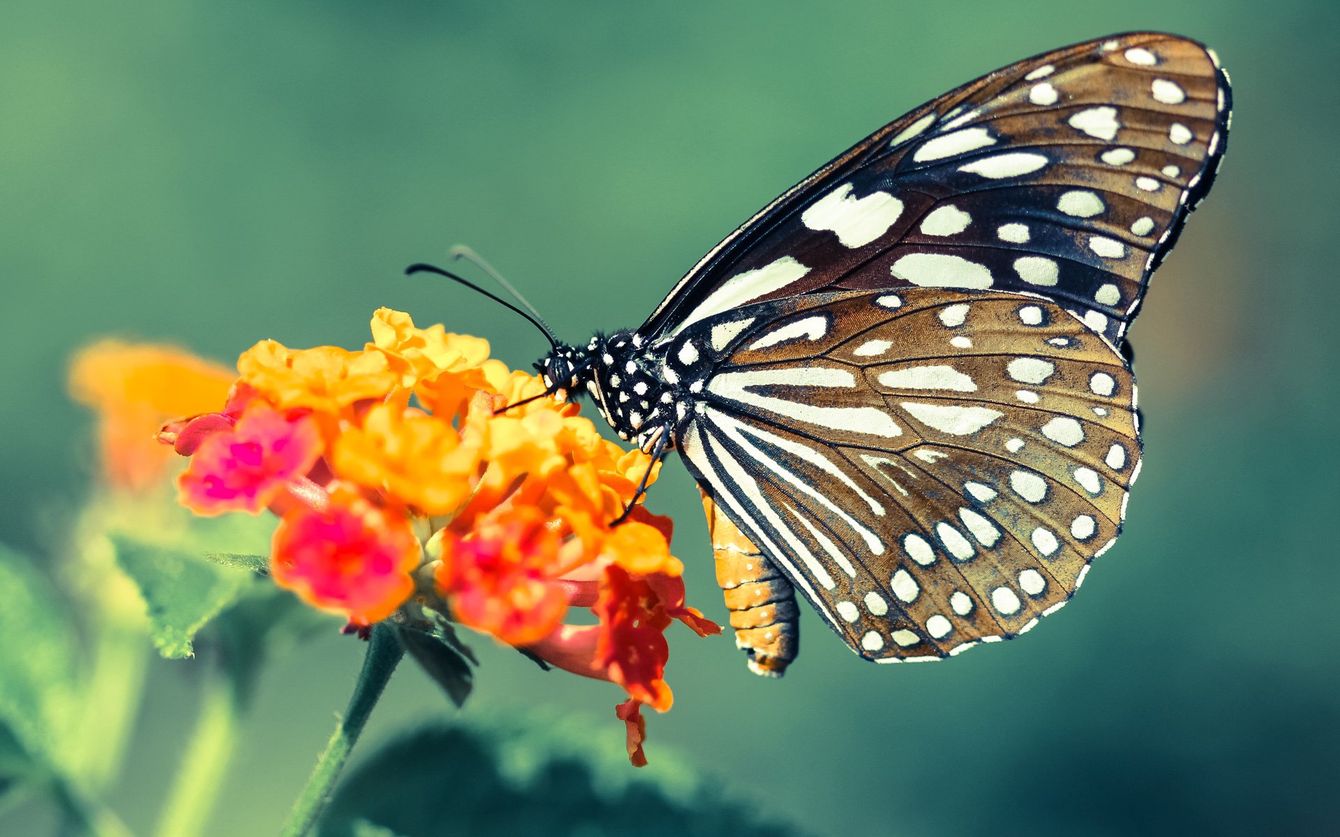 舞台深处，开拓者的无我之境与伦纳德的绝对自我