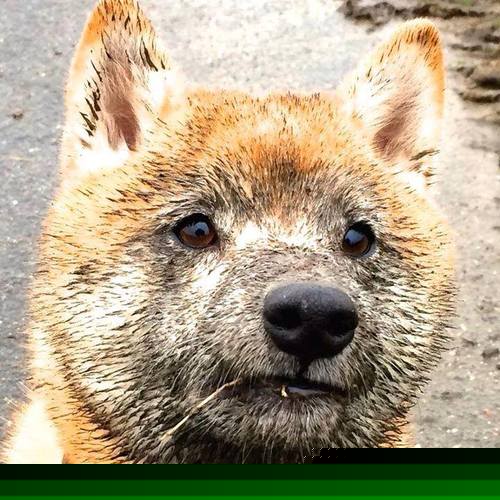 红牛风暴席卷波斯湾！罗德里独造三球导演莱比锡式碾压