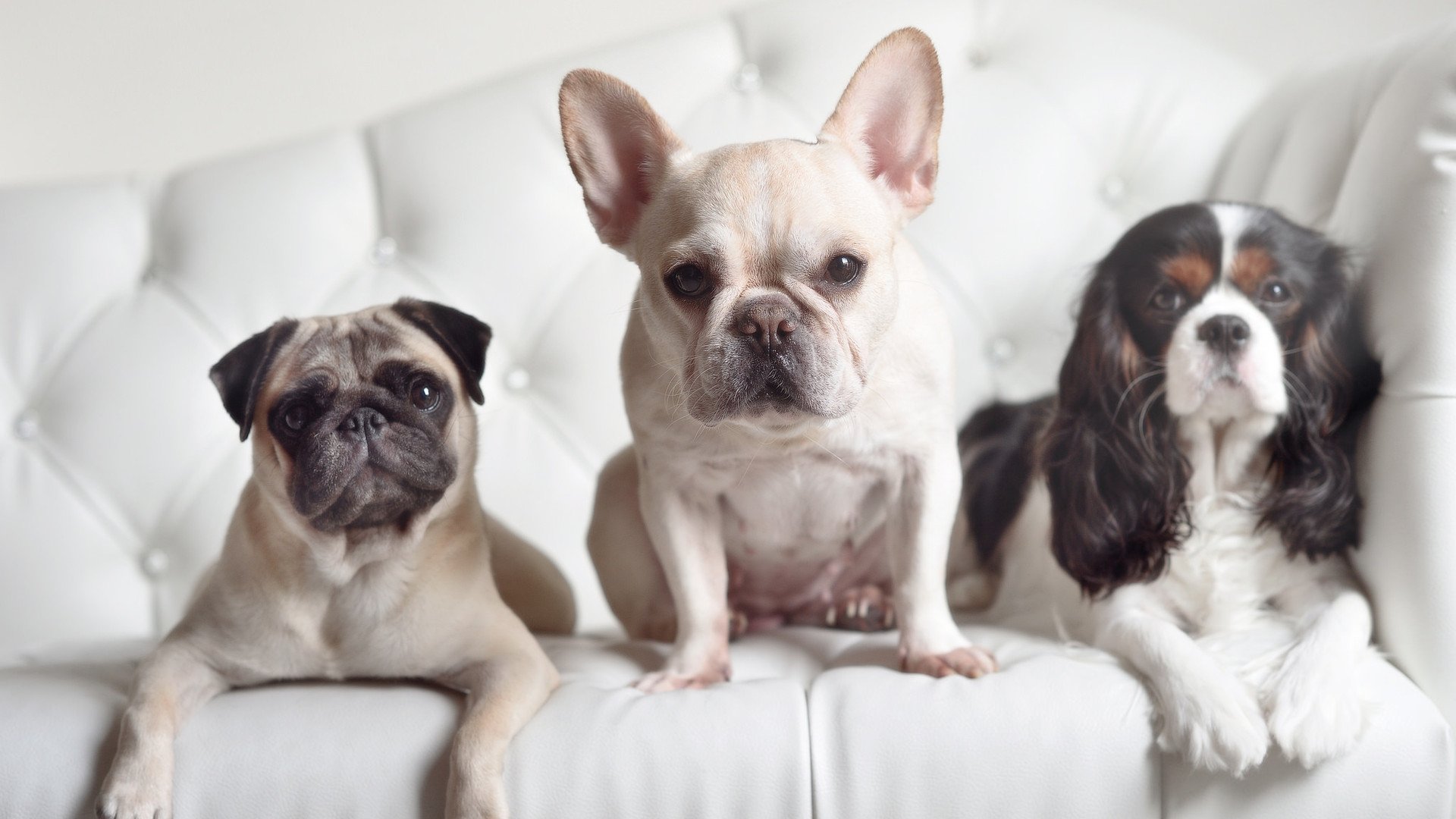 独步天下!恩比德50+燃动费城,书写当代中锋唯一性传奇