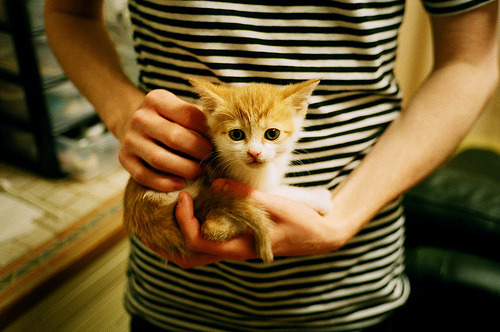 委内瑞拉风暴席卷伦敦城，当一波带走的冷门哲学，遇见劳塔罗的硬仗之王血脉