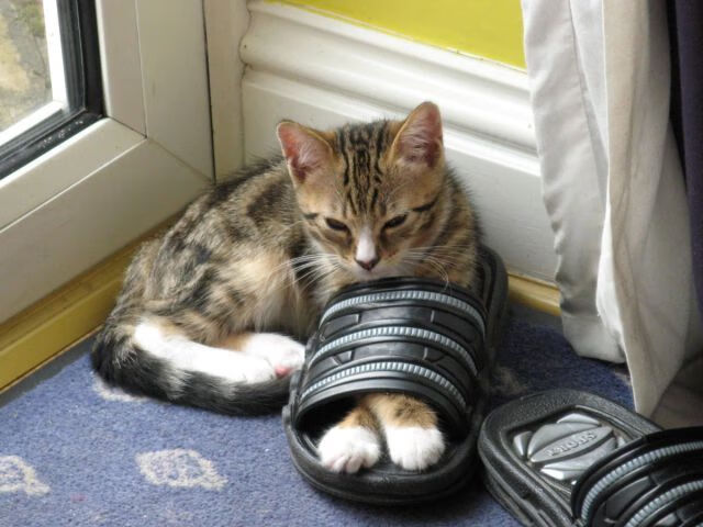 战术棋局，罗马的文艺复兴如何让马德里竞技的钢铁洪流黯然失色