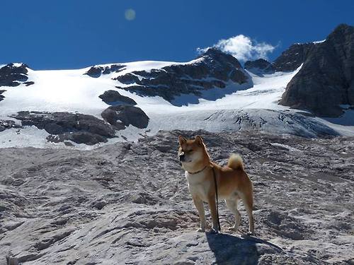 双重战役，詹姆斯在焦点战证明自己，独行侠淘汰赛过关勇士