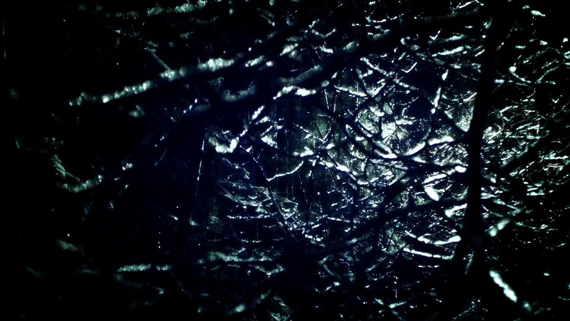 篮球之夜，尼克斯一波带走魔术，约基奇全场最佳无争议