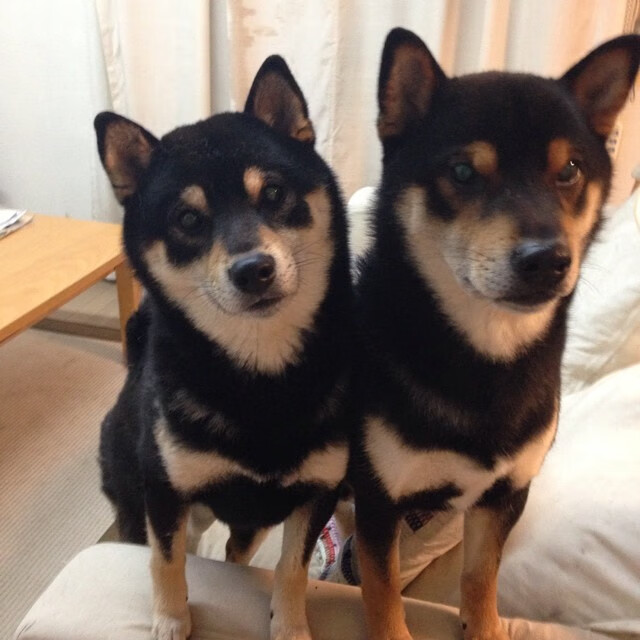 间隔十分钟的平行宇宙，当76人的团队雪崩遇见班凯罗的个人决堤