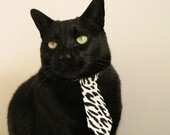 间隔十分钟的平行宇宙，当76人的团队雪崩遇见班凯罗的个人决堤