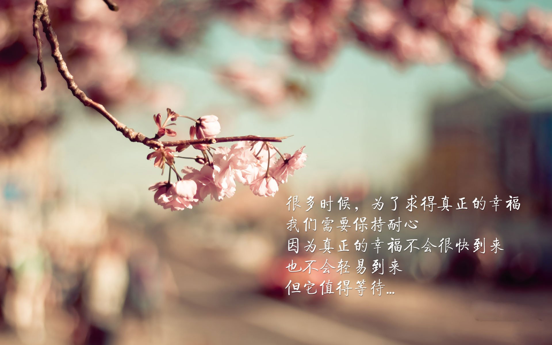 奥纳纳爆发,一个人的爆发,一个国家的节奏—比利时用精密传控拆解新西兰