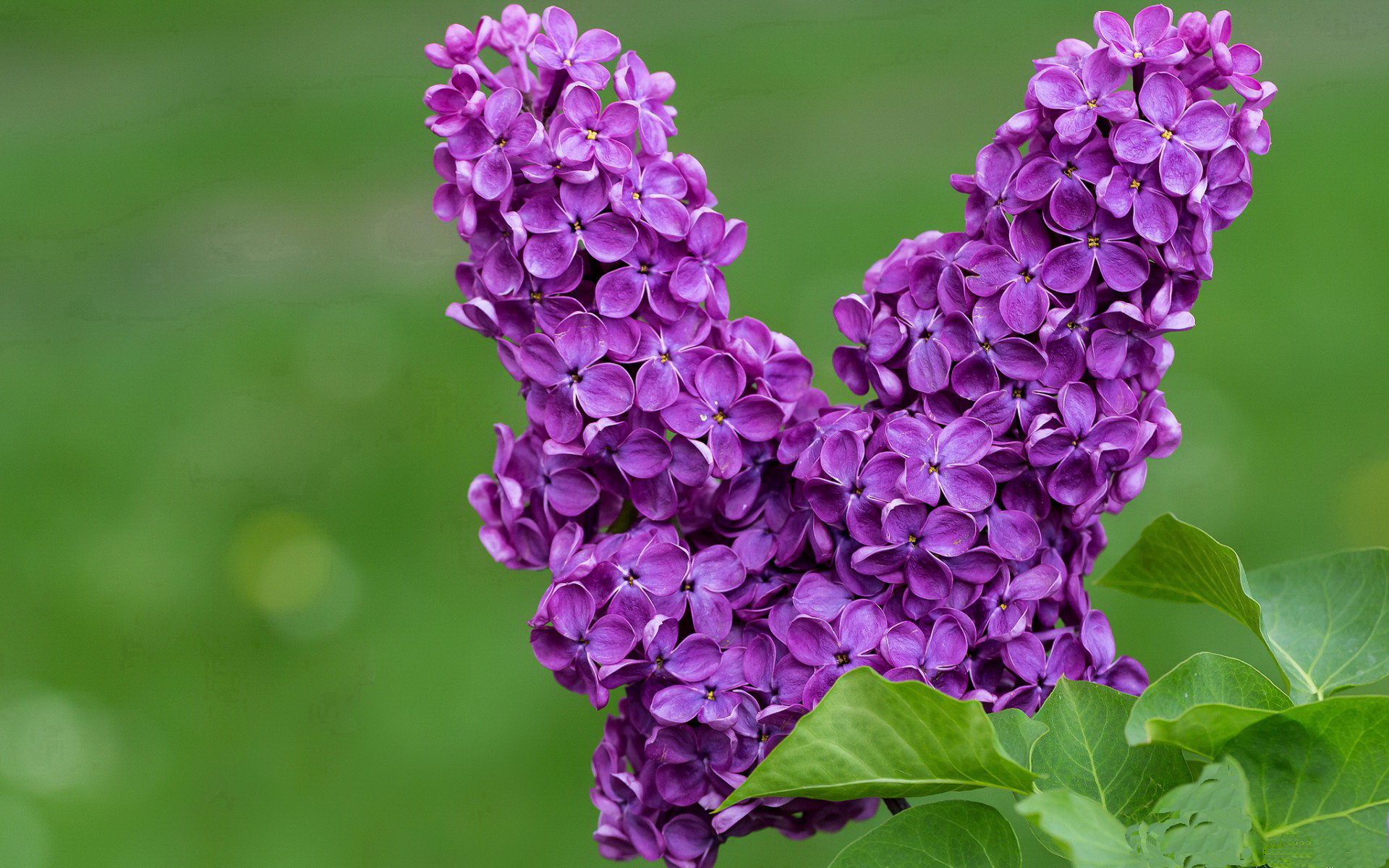 次元破壁，当魔术队的战术版上浮现出山西二字—2024篮球哲学的奇幻交锋