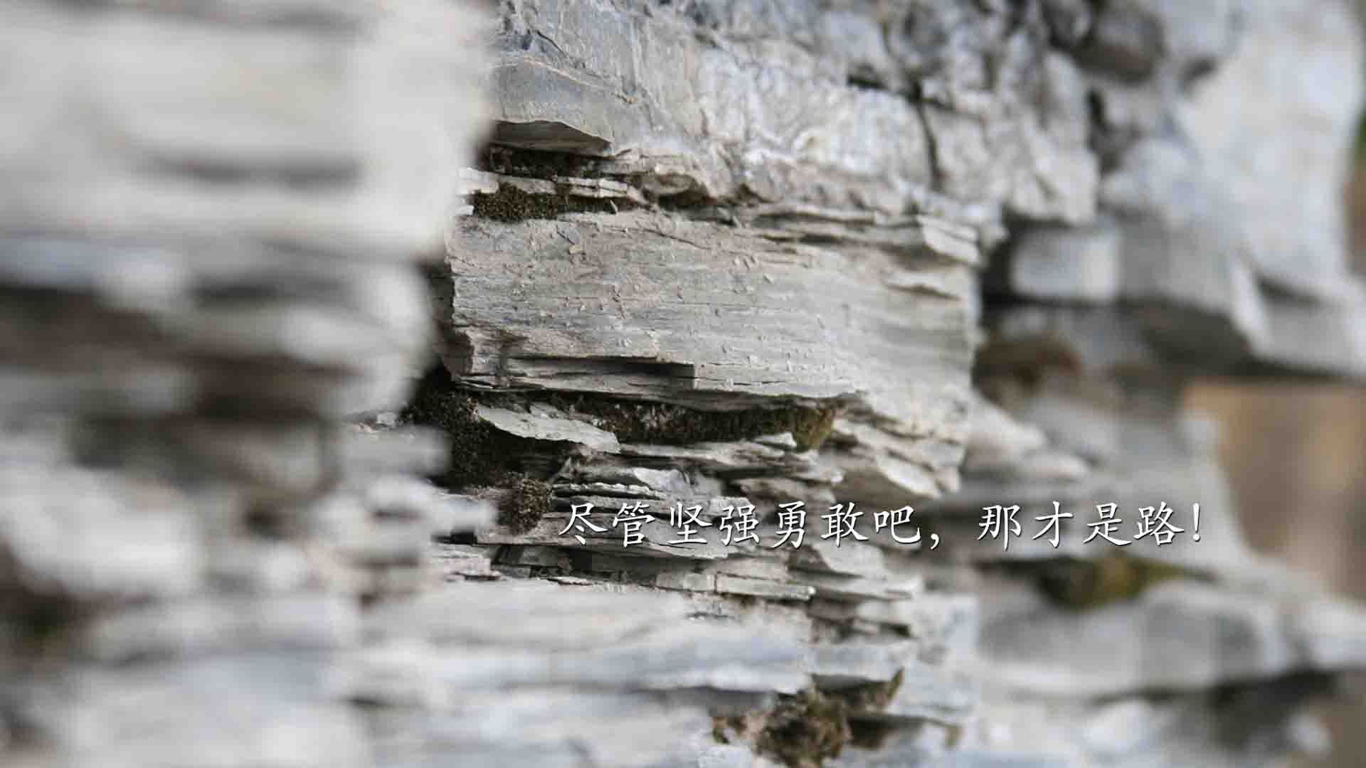 北境孤影,当西亚卡姆扛起整座冰原