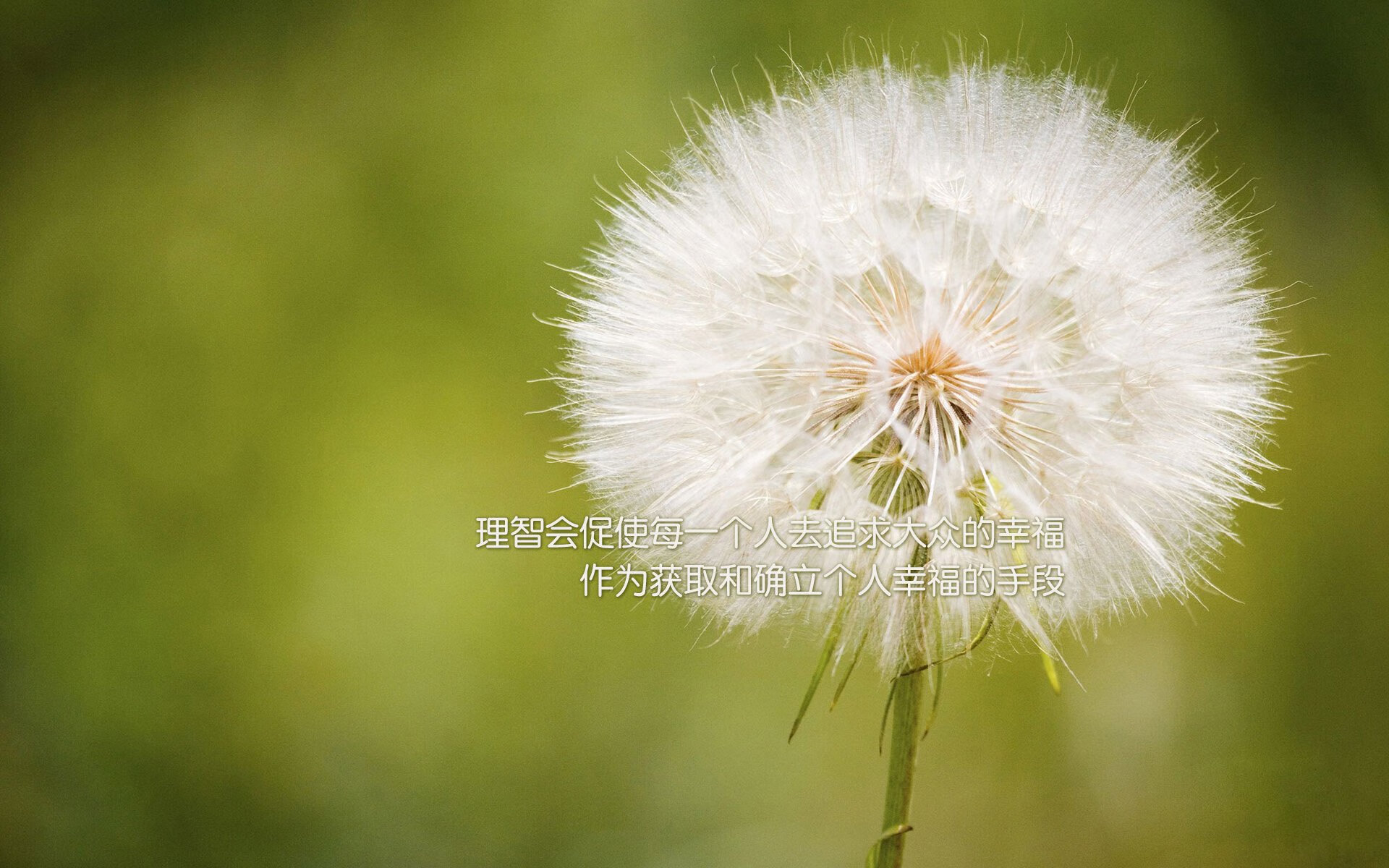 双核时代的另类解读,森林狼的甜蜜复仇与恩比德的世界杯绝唱,如何共同定义篮球的唯一性?