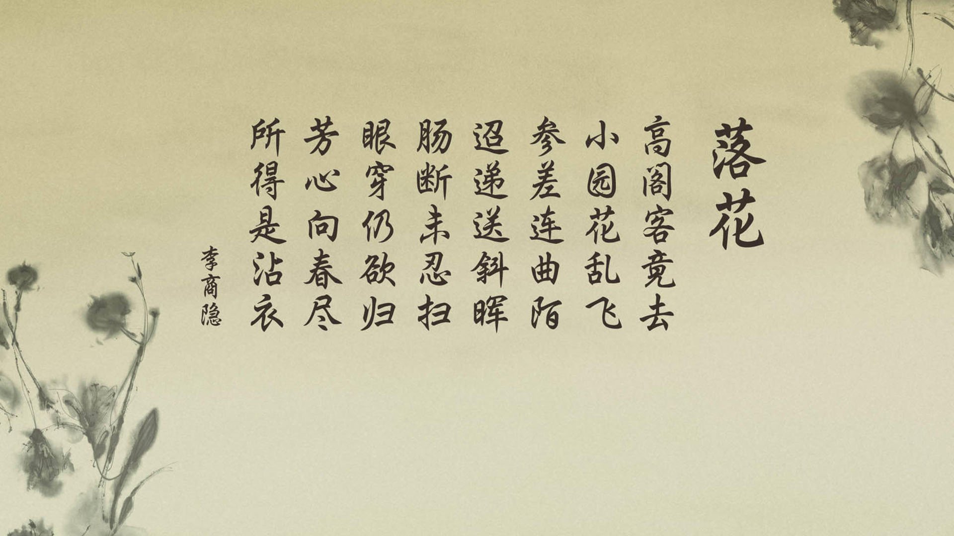 冲破紫禁城,霍勒迪的完美风暴,如何用一己之力击溃华南虎的不朽神话