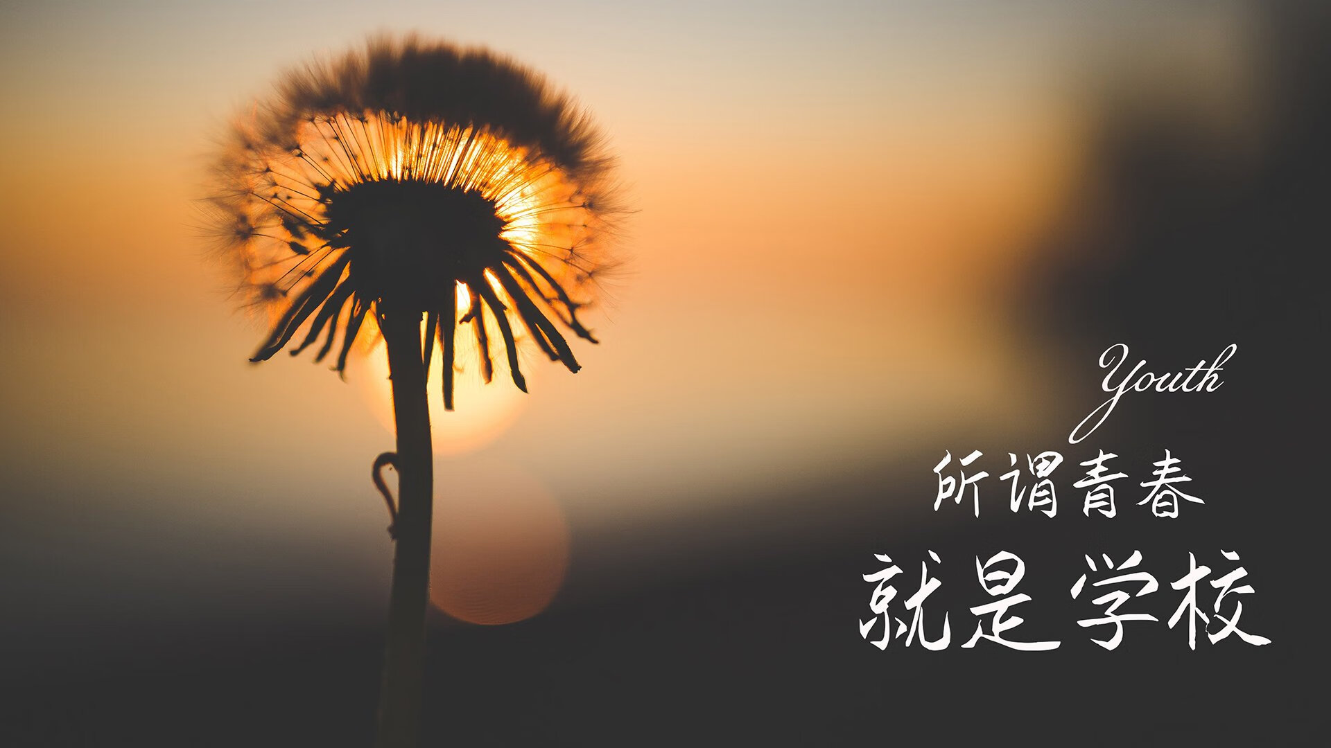 唯一性,当奥地利的风暴与三笘薰的魔法在2026世界杯C组交汇