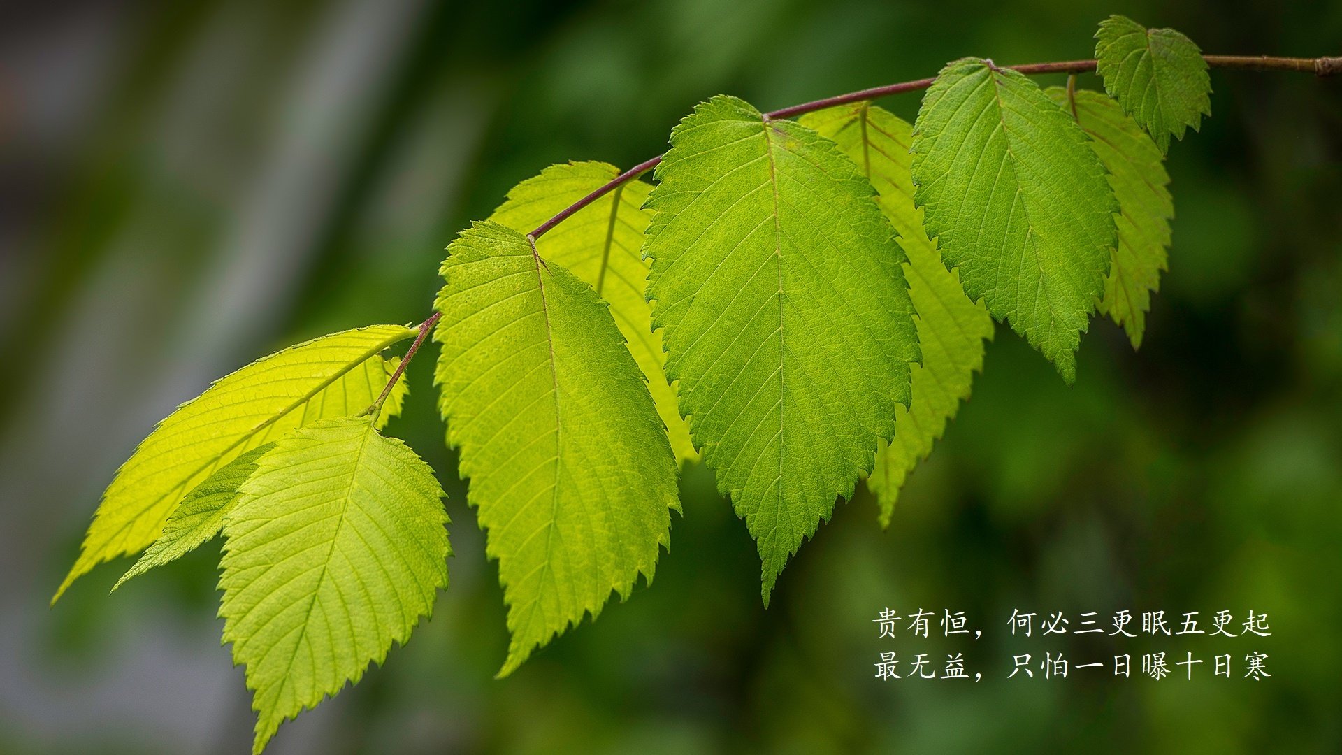 孤星绝杀，久保建英的瞬息之光，照亮2026世界杯A组最冷一夜