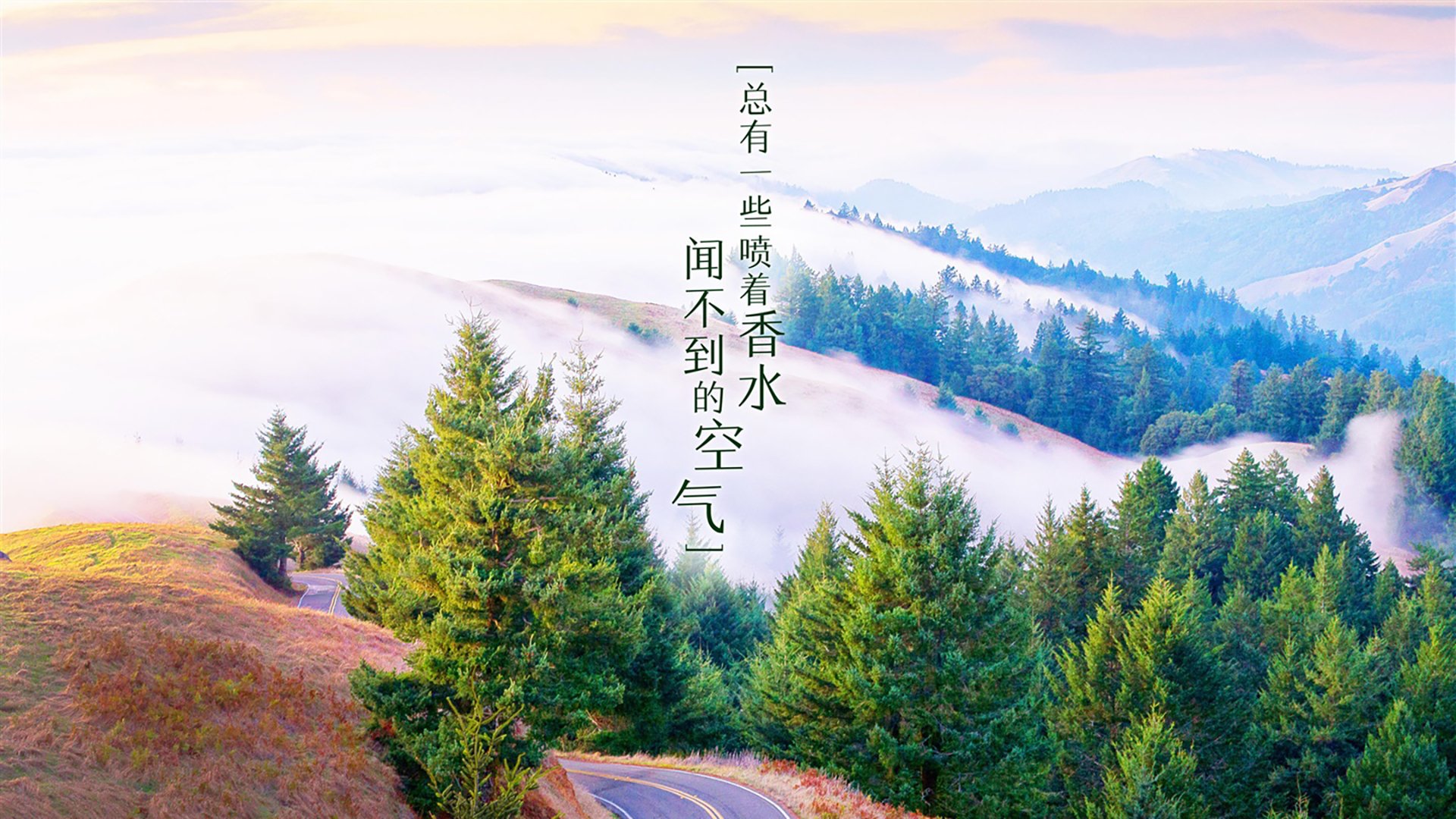 当佩德里点亮中亚之光，一场非典型宿命与2026死亡E组的蓝色预言