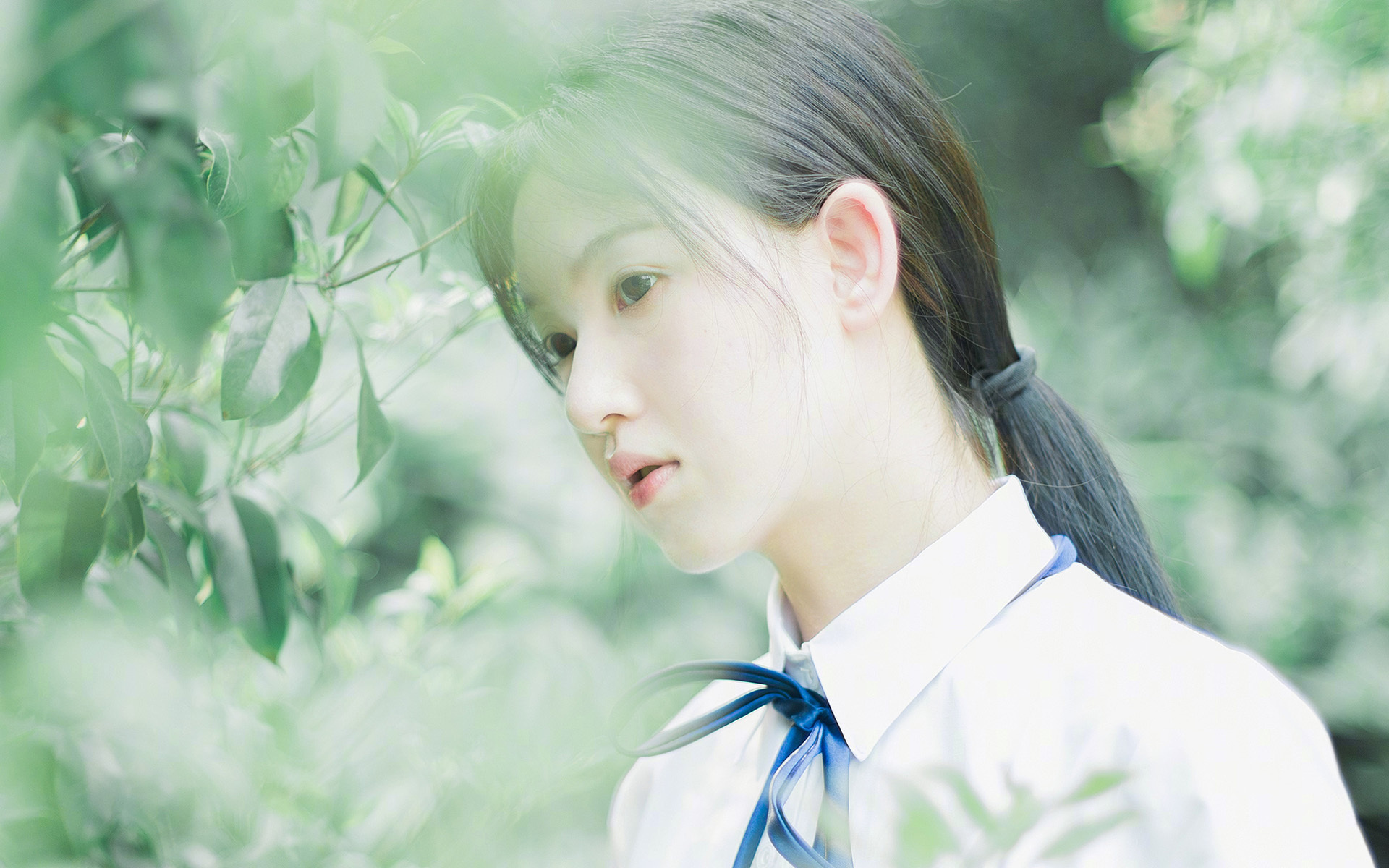 当桑巴遇见樱花,2026世界杯B组唯一性的碾压剧本,费利克斯黯然失色