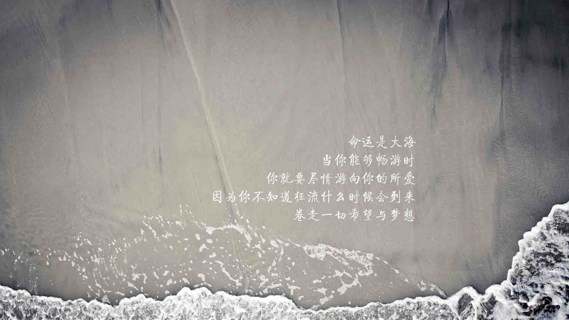 逆转之夜,2026世界杯A组焦点战,阿根廷如何在德布劳内掌控下击碎越南神话
